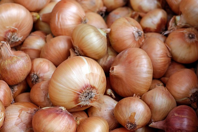 Makanan Sehat Murah yang Bisa Dibeli di Pasar Indonesia